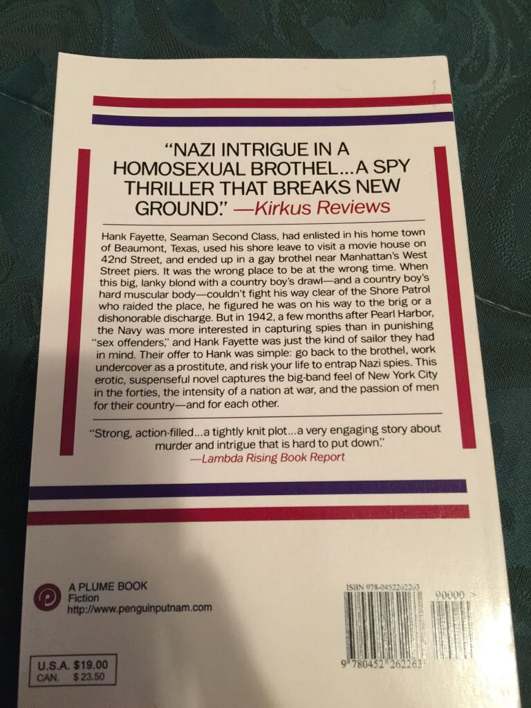 Hold Tight - Christopher Bram (Plume Books) book collectible [Barcode 9780452262263] - Main Image 2