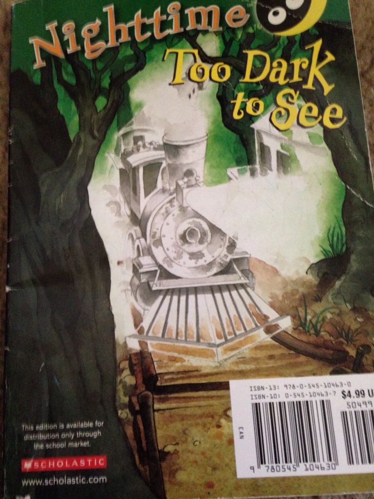 Nighttime Too Scared To Sleep & Nighttime Too Dark To See (Chapter) - Jill Esbaum book collectible [Barcode 9780545104630] - Main Image 2