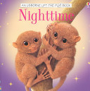 Nighttime  (Usborne Pub Limited) book collectible [Barcode 9780794503666] - Main Image 1