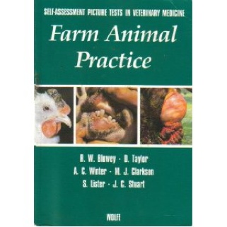 Broken - Daniel Clay