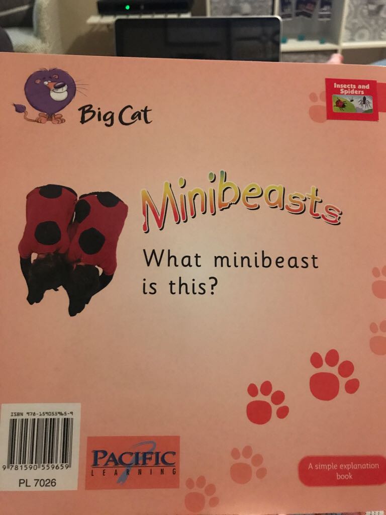 Minibeasts - Gareth Morgan book collectible [Barcode 9781590559659] - Main Image 2