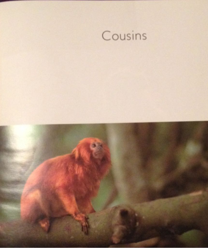 Prom Nights from Hell