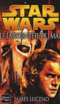 Star Wars: Le Labyrinthe Du Mal - Luceno, James (Fleuve Noir - Hardcover) book collectible [Barcode 9782265085121] - Main Image 1