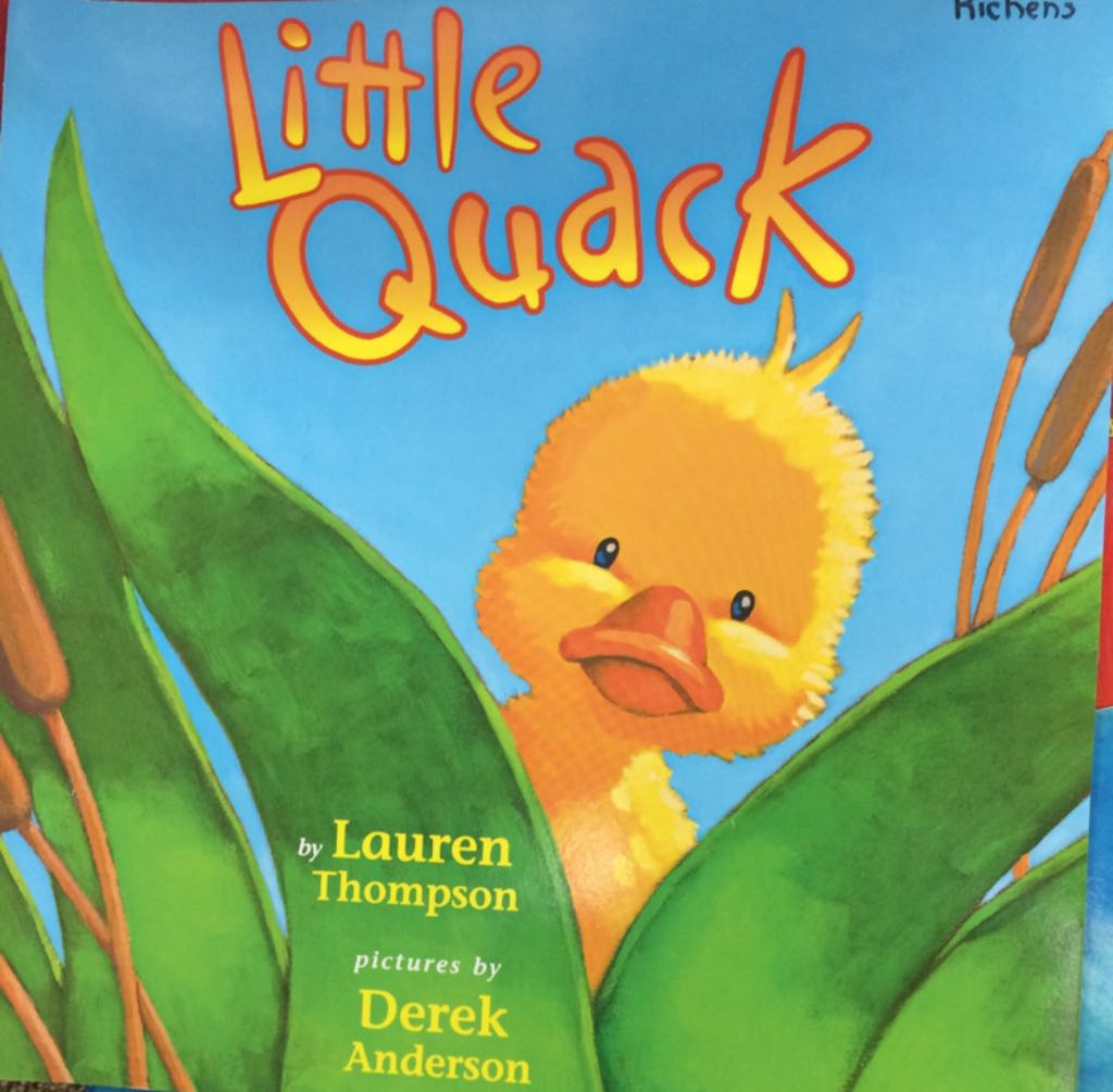Little Quack - Derek Anderson book collectible [Barcode 9780328157013] - Main Image 1