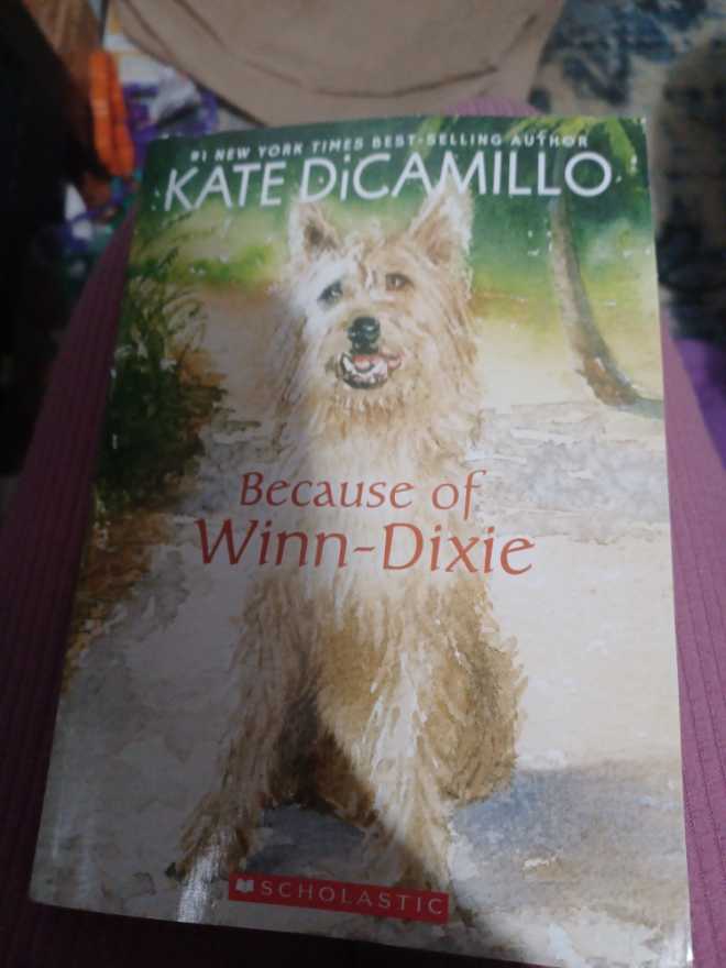 Because of Winn-Dixie - Kate DiCamillo (Scholastic, Inc. - Paperback) book collectible [Barcode 9780439250511] - Main Image 3