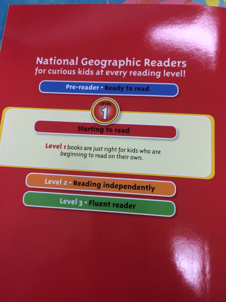 Polar Bears - Mark Newman (Scholastic Inc. - Paperback) book collectible [Barcode 9780545656900] - Main Image 2