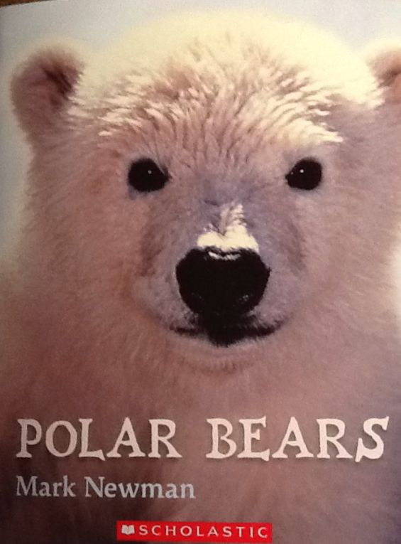 Polar Bears