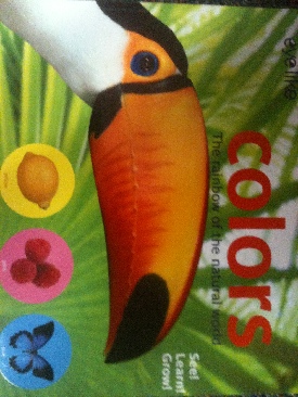 Colors