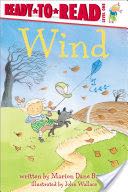 Wind
