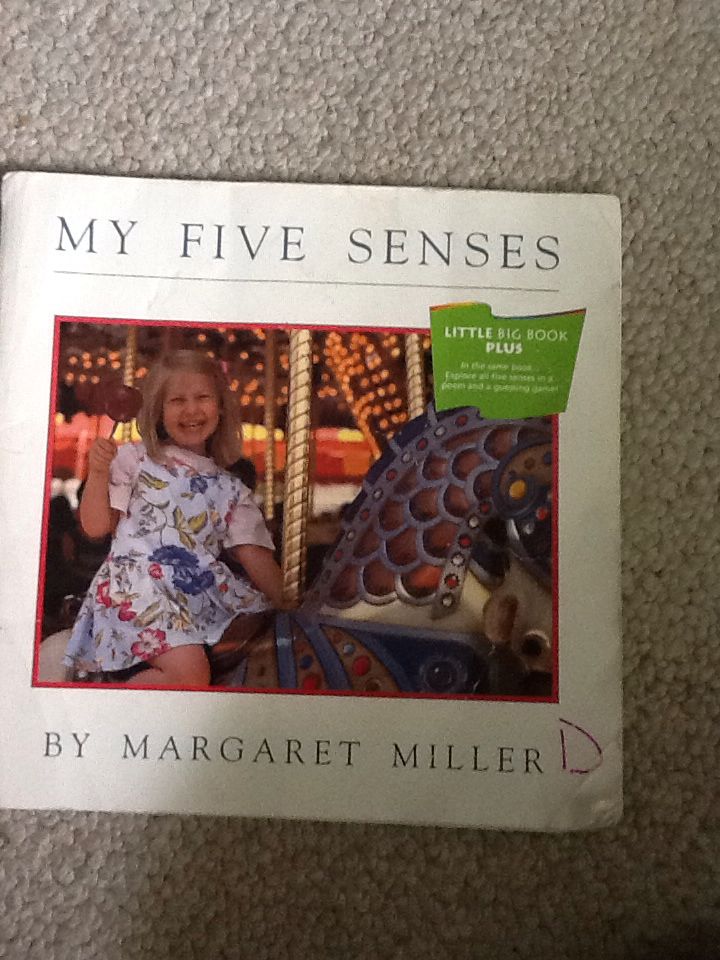 My Five Senses