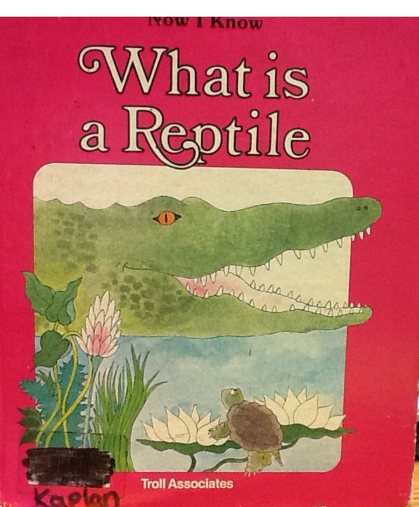 What Is A Reptile