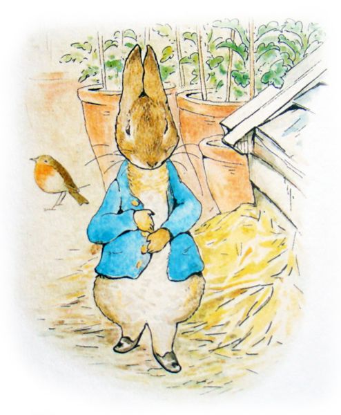 Tale of Peter Rabbit A2- Beatrix Potter, The