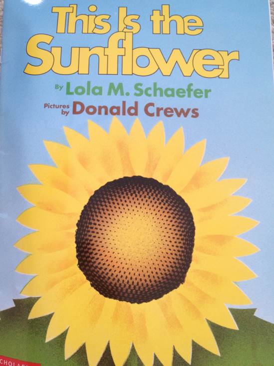 This Is the Sunflower