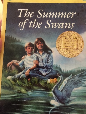 The Summer Of The Swans