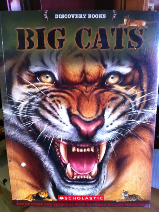 Big Cats - Seymour Simon book collectible [Barcode 9780545174947] - Main Image 1