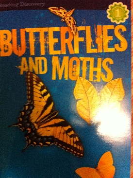 Butterflies And Moths - Janes P. (The Butterflies And Moths - Paperback) book collectible [Barcode 9781403773920] - Main Image 1