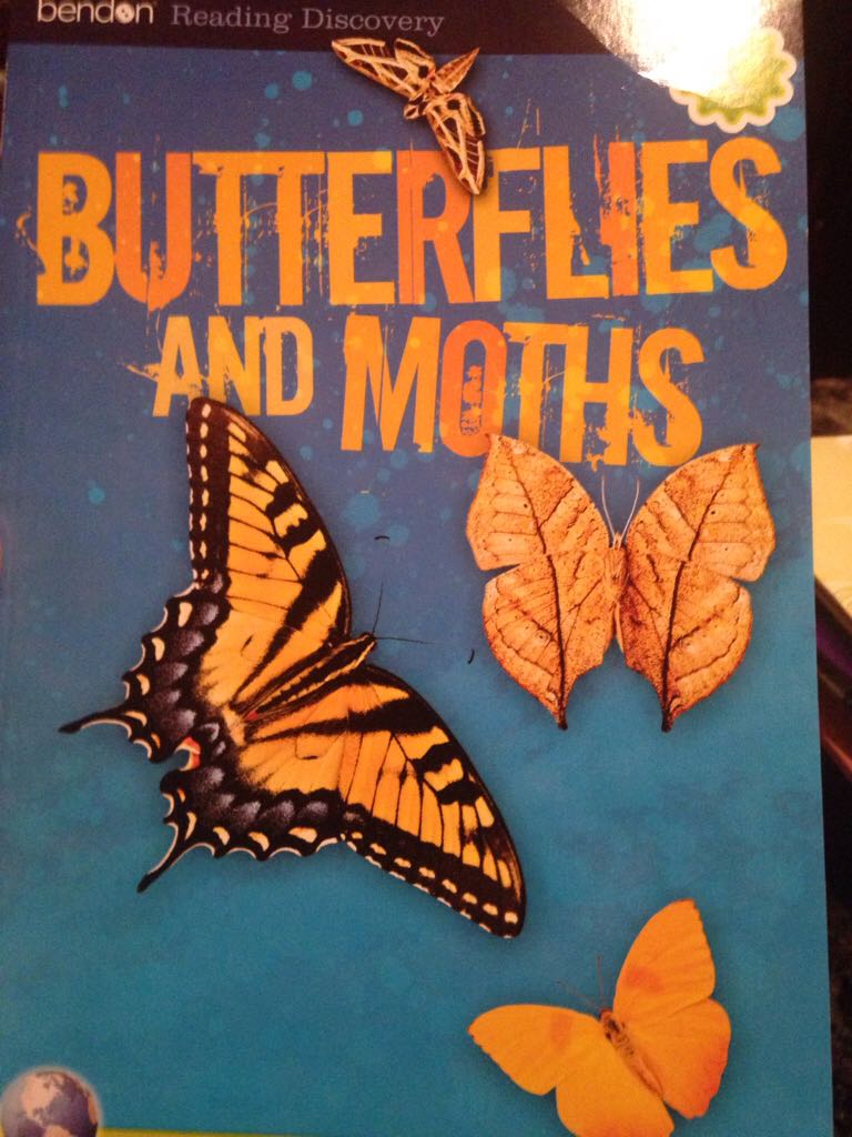 Butterflies And Moths - Janes P. book collectible [Barcode 9781453088494] - Main Image 1