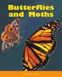 Butterflies And Moths