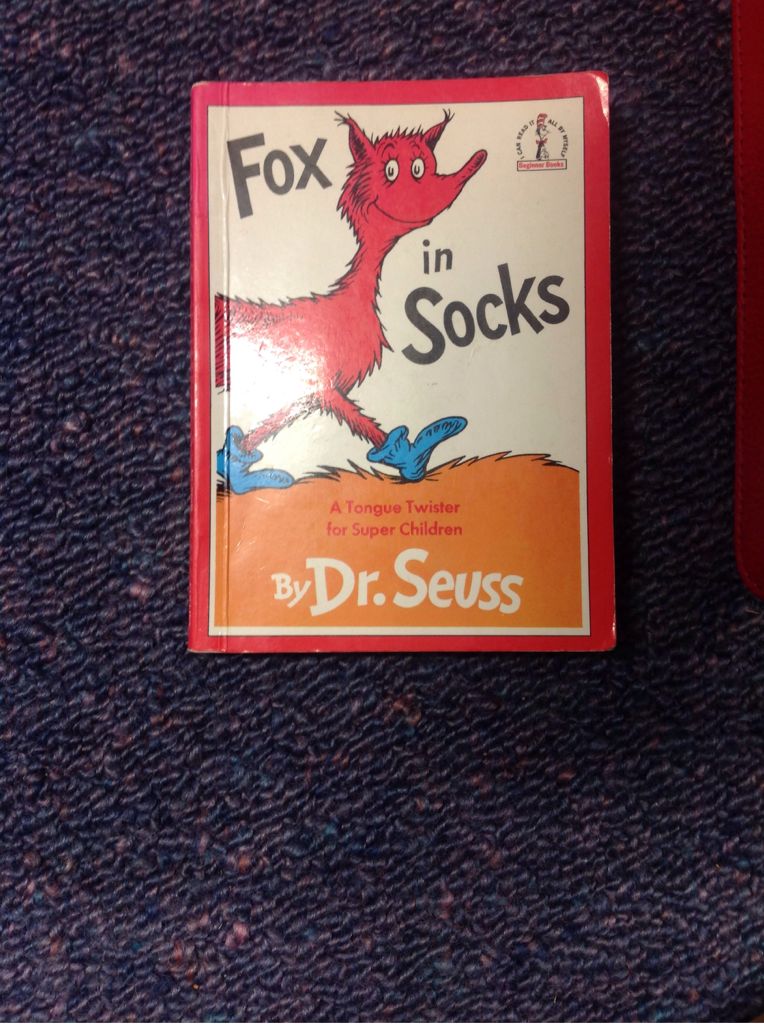 Fox in Socks