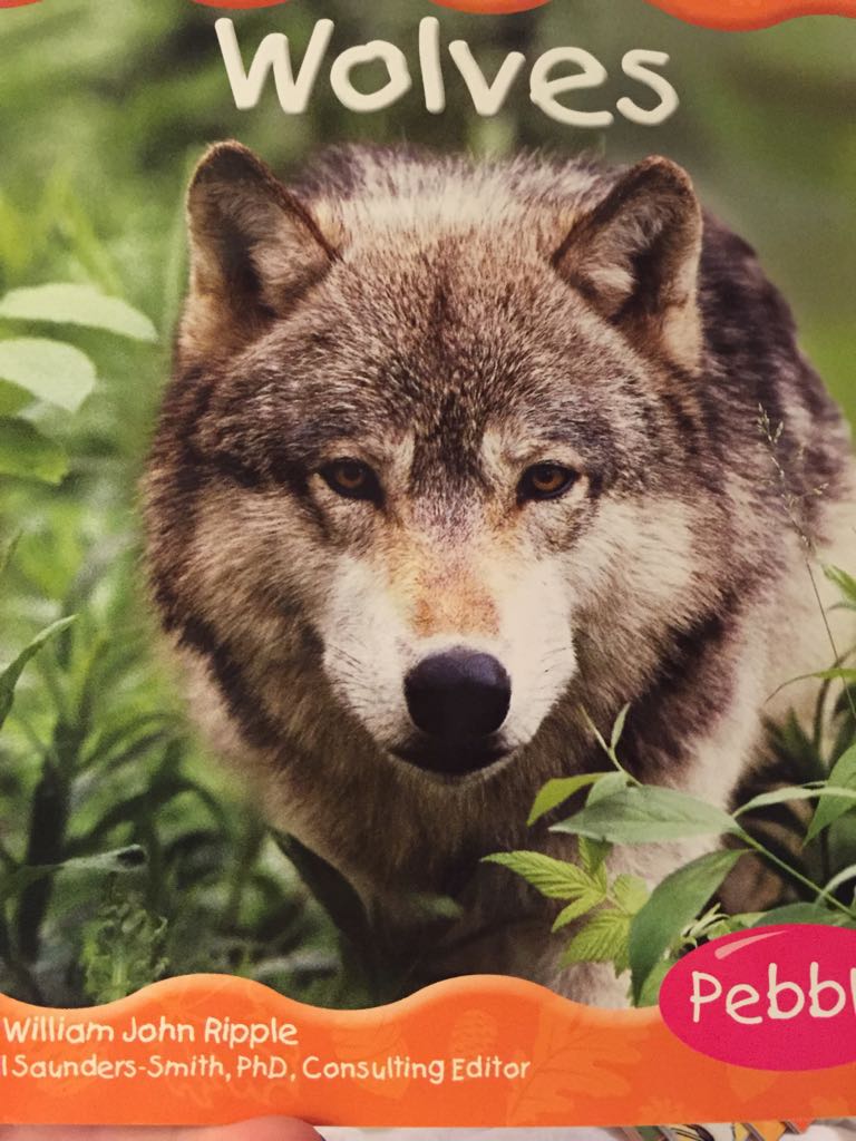 Wolves