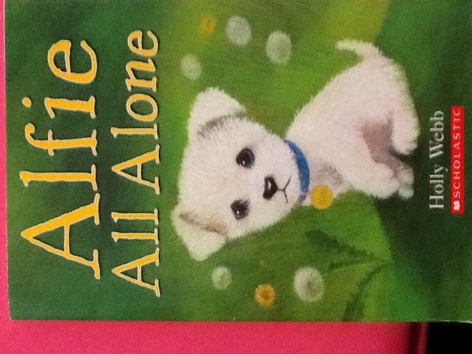Alfie All Alone - Holly Webb (- Paperback) book collectible [Barcode 9780545079259] - Main Image 1