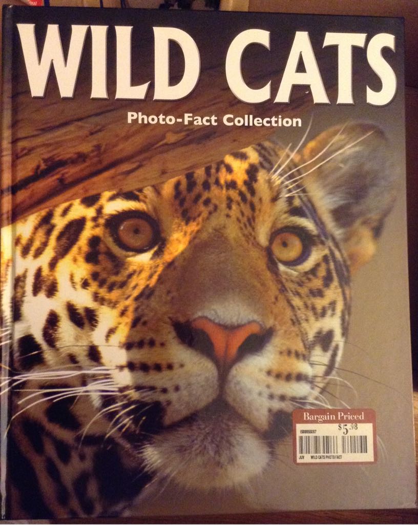 Wild Cats