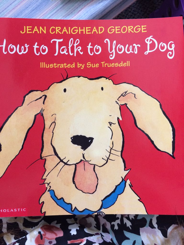 How To Talk To Your Dog