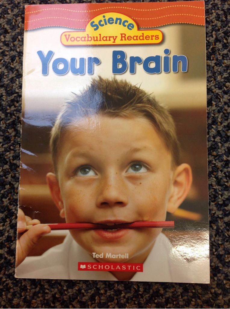 Your Brain