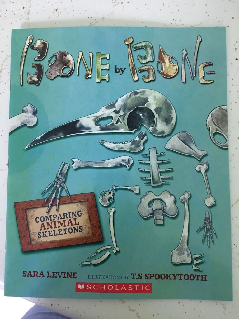 Bone By Bone