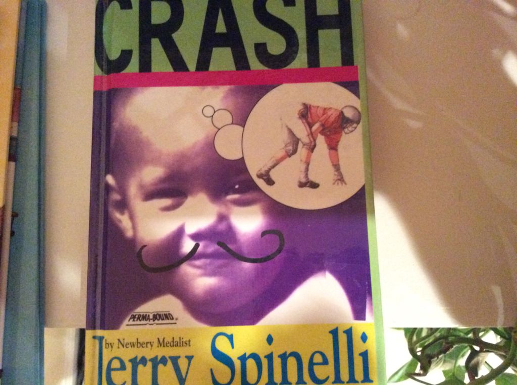 Crash - Jerry Spinelli (Knopf Books for Young Readers - Hardcover) book collectible [Barcode 9780679879572] - Main Image 1