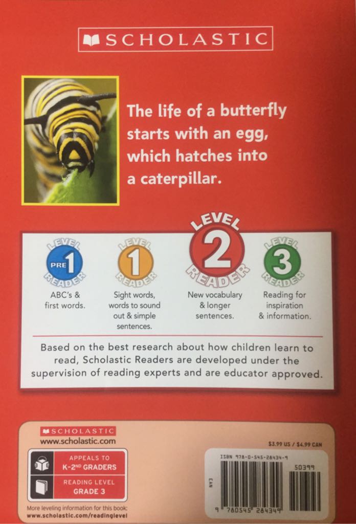 Butterflies - Susan Ashley (Scholastic) book collectible [Barcode 9780545284349] - Main Image 2