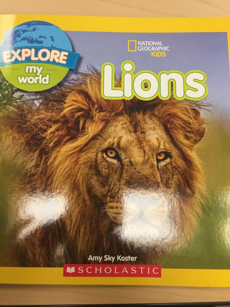 Lions NGK Explore my world