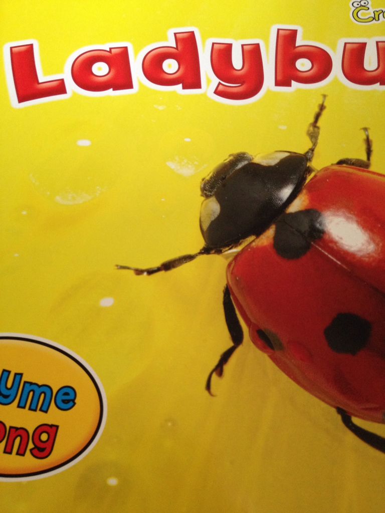 Ladybugs