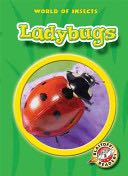 Ladybugs