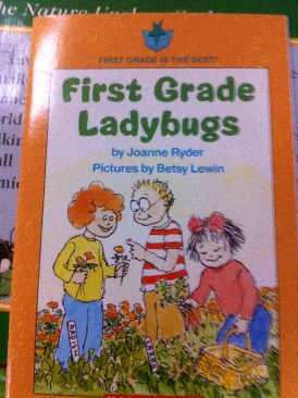 First Grade Ladybugs