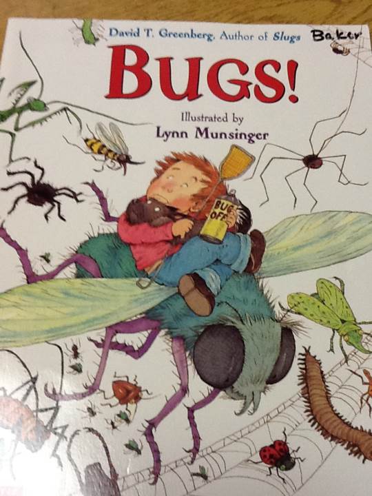 Bugs!