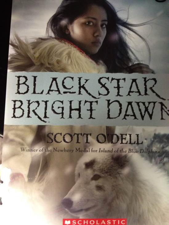Black Star, Bright Dawn