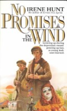 No Promises In The Wind