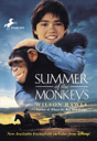Summer Of The Monkeys