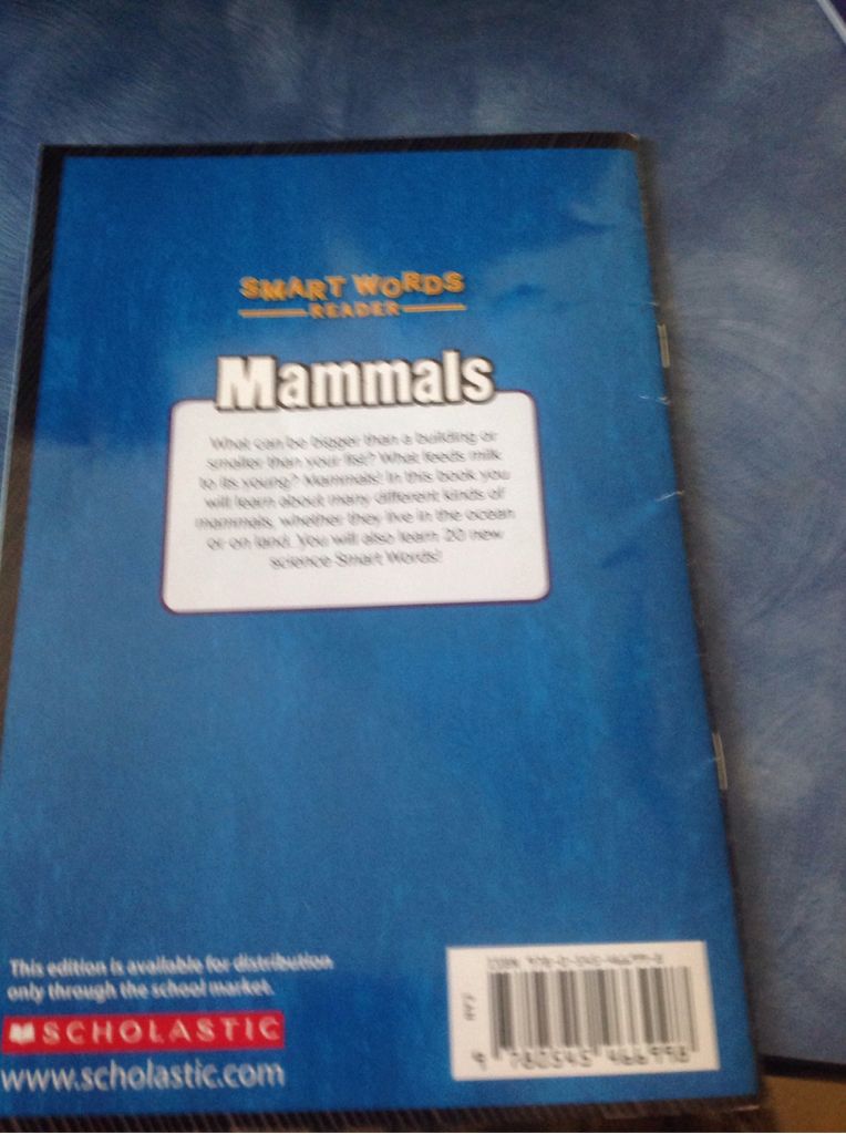 Mammals - DK (Scholastic - Paperback) book collectible [Barcode 9780545466998] - Main Image 2