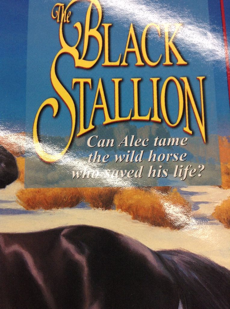 The Black Stallion