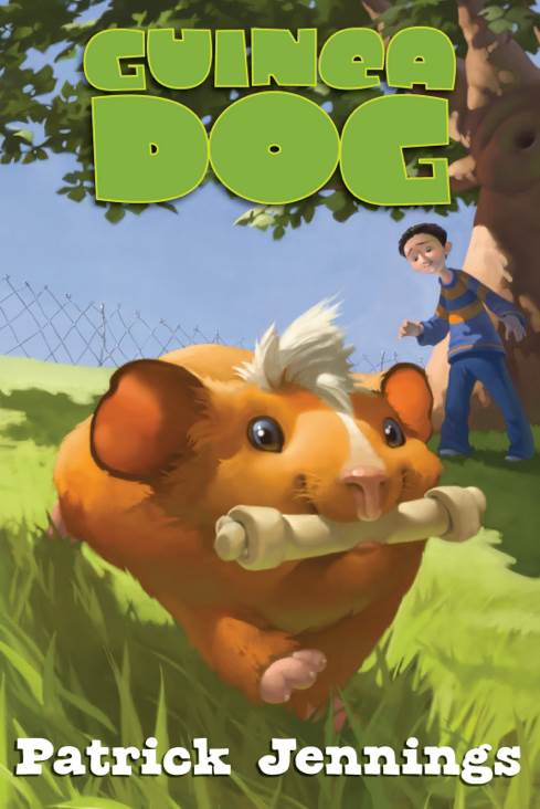 Guinea Dog