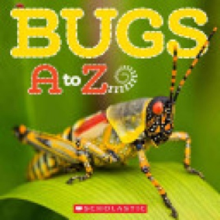 Bugs A To Z