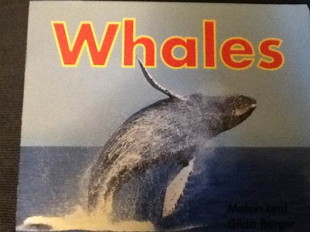 Whales