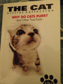 The Cat