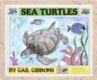 Sea Turtles