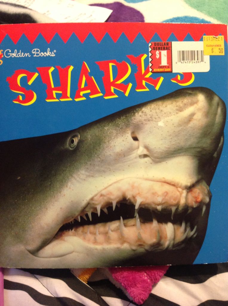 Sharks