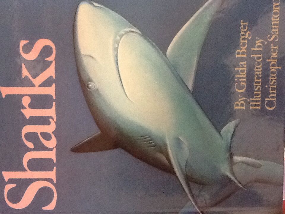 Sharks