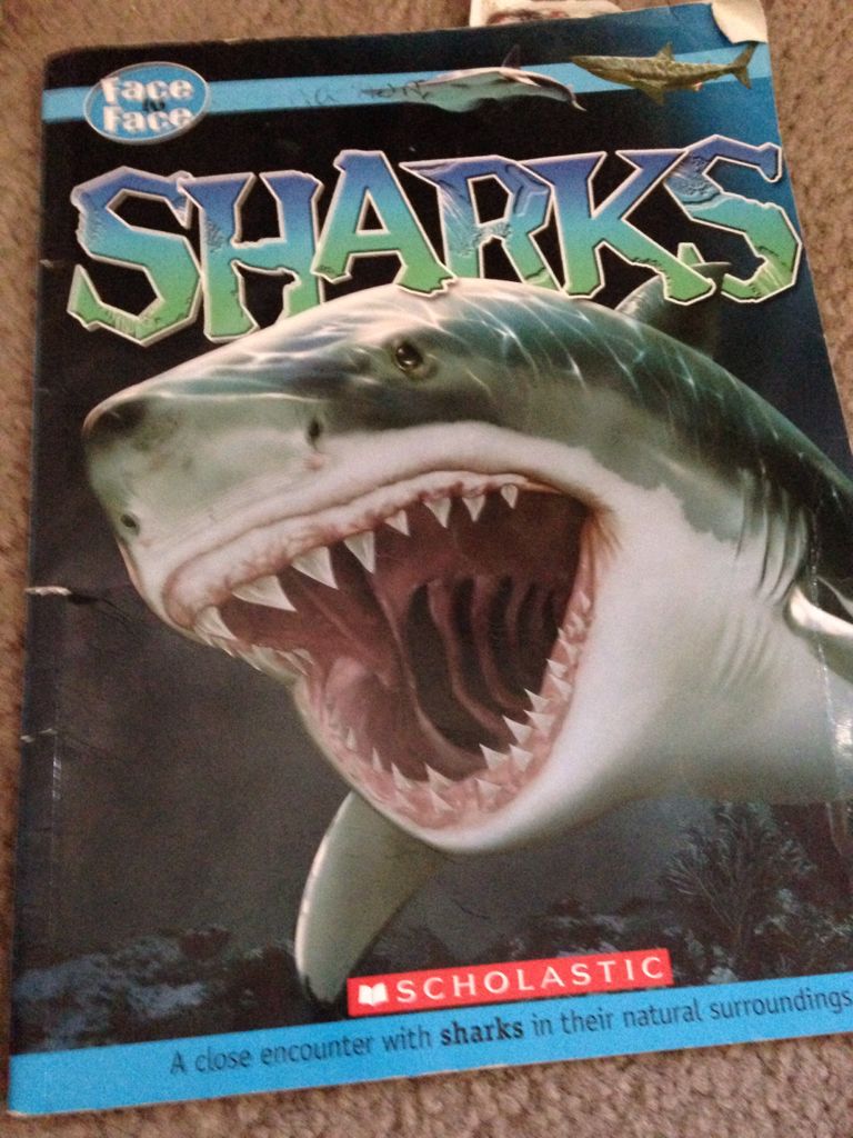 Sharks