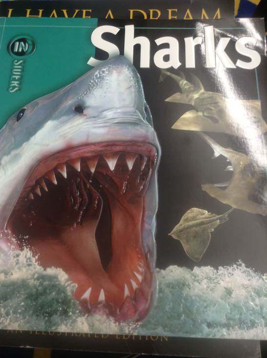 Sharks